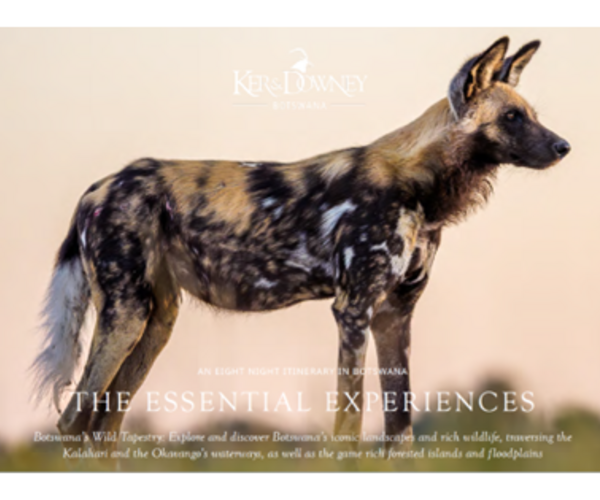 The Essential Experiences - 8 nights
